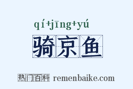 骑京鱼是什么意思的图片